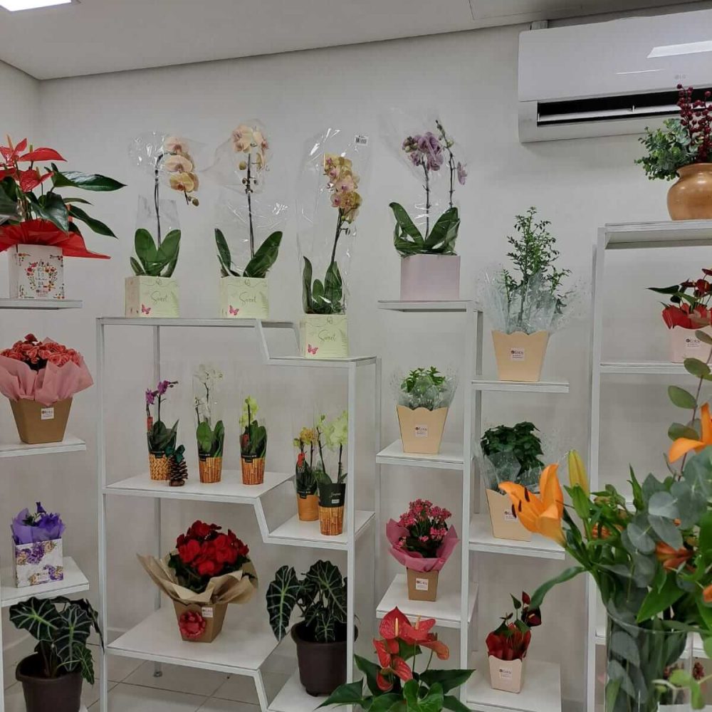 floricultura_1